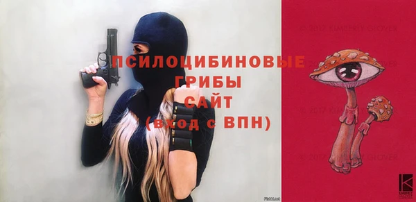 СК Медвежьегорск