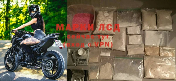 СК Медвежьегорск