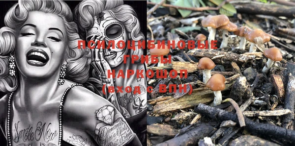 MDMA Premium VHQ Медногорск
