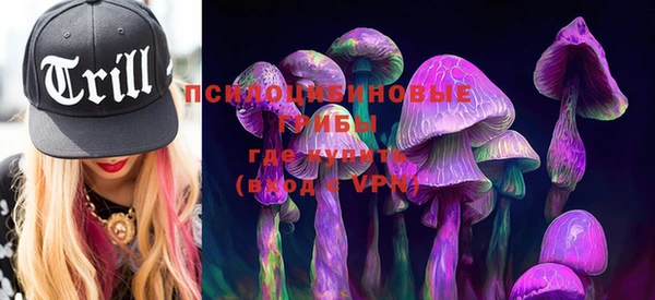 не бодяженный Михайлов