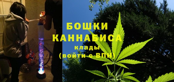 СК Медвежьегорск