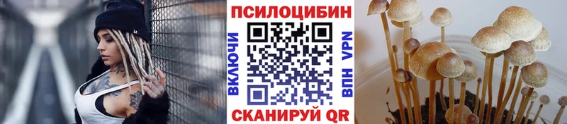 Купить  Котельники  Псилоцибиновые грибы Cubensis 